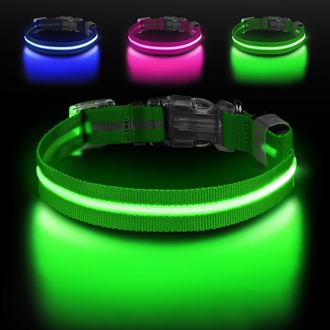 Led Dog Collar for Night Walking,Rechargeable Light Up Dog Collar Led Color,Glow in The Dark Dog Collars Waterproof for Small Medium Large Dogs (Green, Medium)