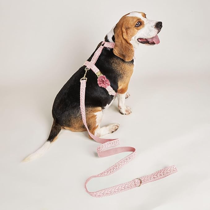 Large Dog Harness and Leash Set, Adjustable No Pull Pet Halter Harness with Flower & Metal Buckle, Easy Control for Training Walking, Pink,M