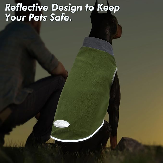Cyeollo 2 Pack Dog Sweater - Fleece Vest & Sweatshirt in Reflective Lightweight Fabric - Perfect for Small Dogs, Boy or Girl - Grass Green, Grey, M