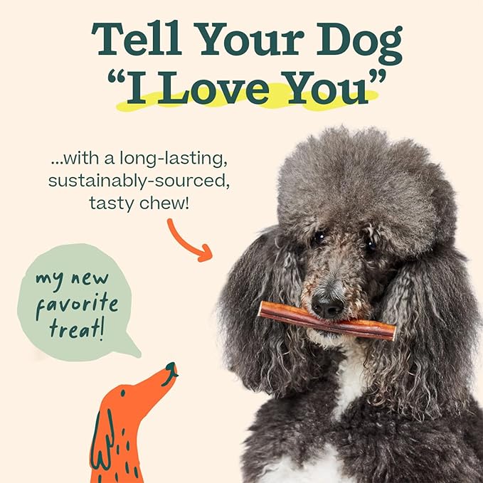 WOOF Bully Sticks Dog Treats - Chew Sticks for Dogs - Long-Lasting Dog Chew Treats - Products Made with Free-Range, Grass-Fed Beef - 6" Sticks - 10pk