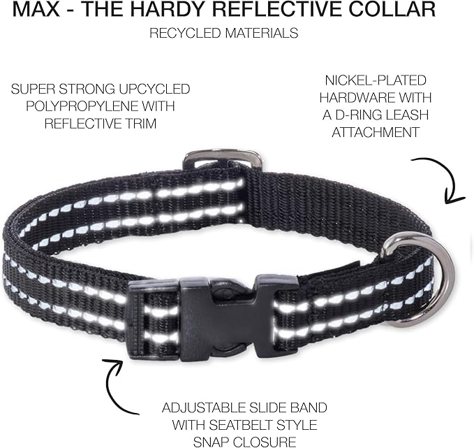 Adjustable Reflective Dog Pet Collar for Small, Medium and Large Dogs, Black, Small
