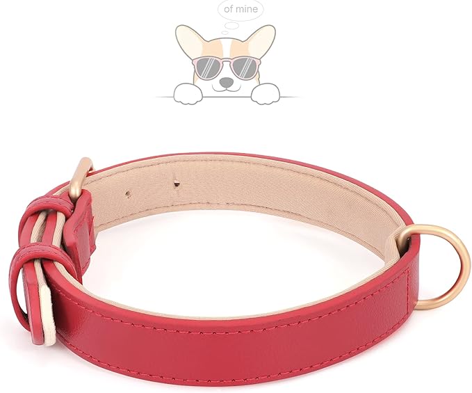 WHIPPY Leather Dog Collar for Small Medium Large Dog Adjustable Soft Breathable Leather Padded Puppy Collar with Alloy Buckle Heavy Duty Waterproof Classic Dog Pet Collar,red,XS