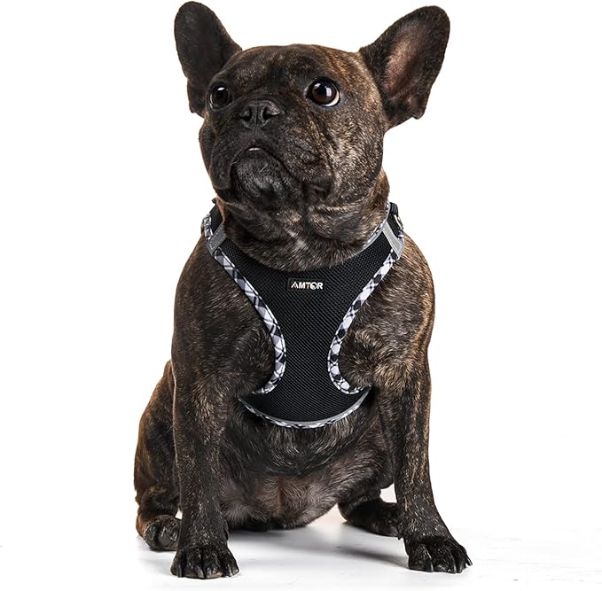 AMTOR Small Dog Harness with Leash Set, No Escape Easy Walk Puppy Harnesses for Training Walking, Step-in Reflective Soft Dogs Vest for XS S Medium Extra-Small Large Sized Dog(Blackwhite,M)