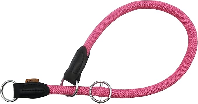 Braided Round Martingale Dog Collar, Training Collar with Slidable Stop Ring - Ideal for Large Dogs (L(1/2") - 22" Long, Pink)