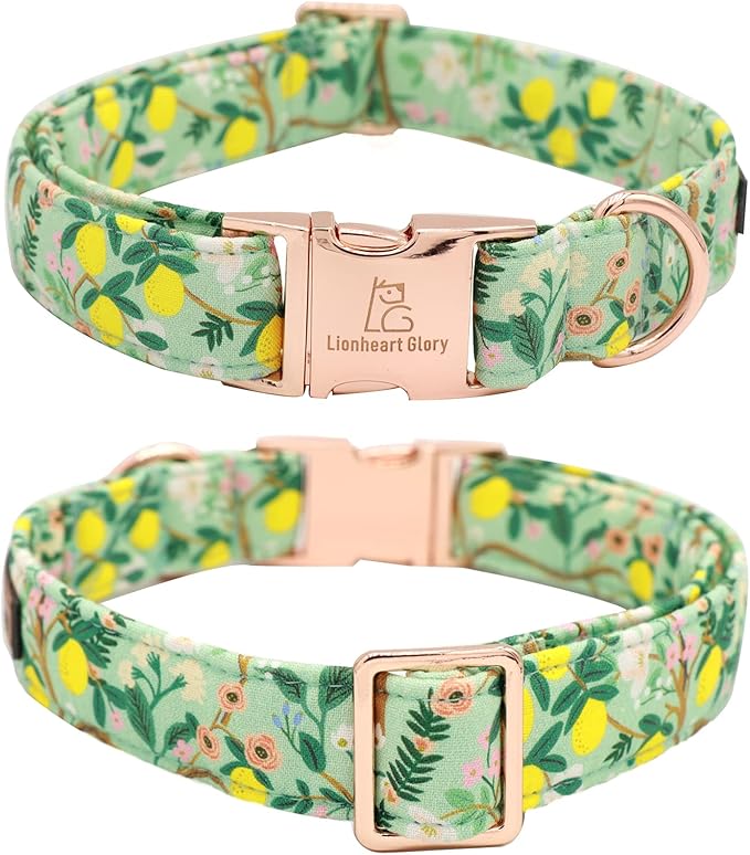 Lionheart Glory Cute Lemon Floral Pattern Adjustable Dog Collar for Medium Dogs