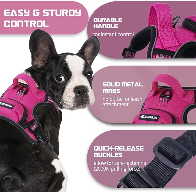 BUMBIN Dog Harness for Large Dogs, No Pull Adjustable No Choke Pet Vest with Dog Leash Fit Smart Reflective Pet Walking Harness for Training Easy Control Soft Handle Rose Red XL