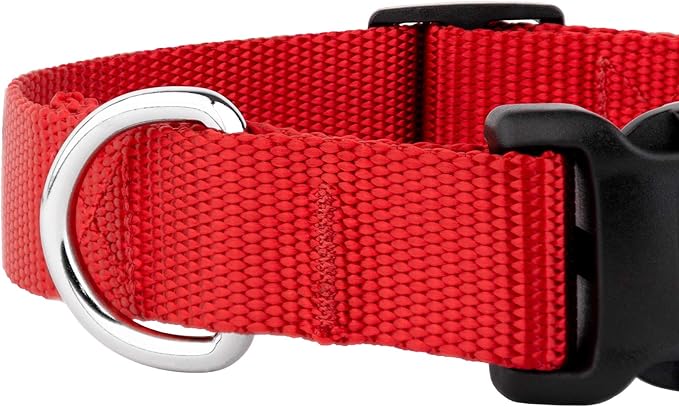 Country Brook Petz - American-Made Dog Collar for Large, Medium, and Small Dogs and Puppies - Deluxe Heavy Duty Nylon in 33 Dazzling Colors (Medium, 3/4 Inch Wide, Bright Red)
