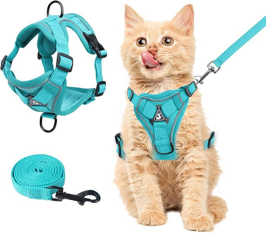 Summer cat Chest Harness and Leash, Anti-Escape Adjustable Soft mesh cat Leash and Chest Harness Set for All Types of Cats cat Vests (Emerald, S)