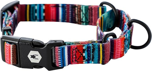 Wolfgang Heavy Duty Martingale Dog Collar with Quick Release Nylon Buckle for Walking & Training, Quetzal Print, Small