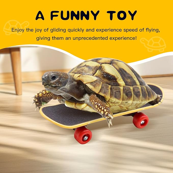 Tortoise Treat Ball, Adjustable Leash and Training Skateboard Toy Set, Turtle Feeder Ball, Turtle Training Harness and Mini Skateboard,for Small Pets, Accessories Set for Tortoises