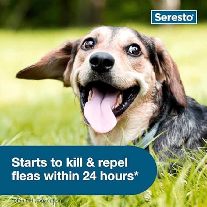 Seresto Small Dog Vet-Recommended Flea & Tick Treatment & Prevention Collar for Dogs Under 18 lbs. | 2 Pack