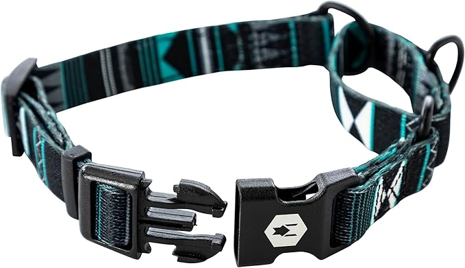Wolfgang Heavy Duty Martingale Dog Collar with Quick Release Nylon Buckle for Walking & Training, WesternSky Print, Medium
