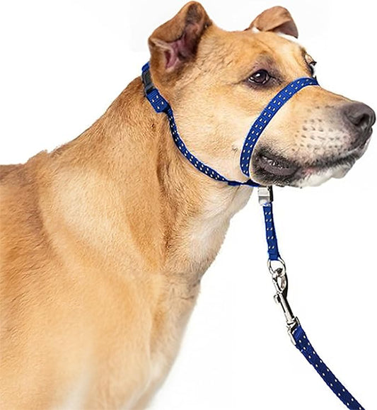 Headcollar for Dogs, Extra Soft Padded, Reflective, No Pull Dog Collar, Gentle Leader for Dogs with Durable Nylon Leash, Padded Handle - Navy Blue (X-Large)