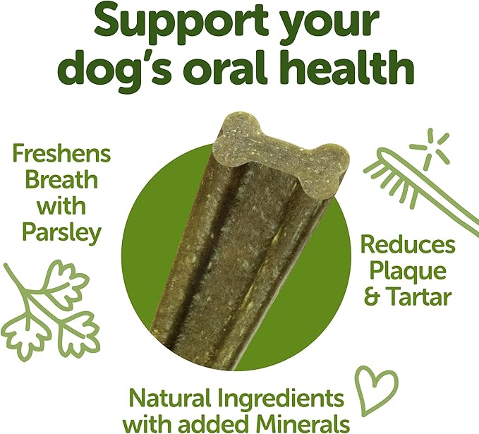 WHIMZEES Wellness Freshzees Dog Dental Treats, Natural Chews, Small Size Stick, (28 Count)