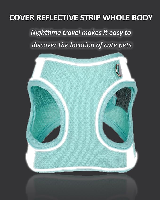 Solmoony No Pull Dog Harness - Step In Mesh Harness for Small Dogs, Bule, XXS