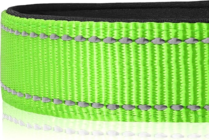 Joytale Reflective Dog Collar,Soft Neoprene Padded Breathable Nylon Pet Collar Adjustable for Puppy and Small Dogs,Green XS