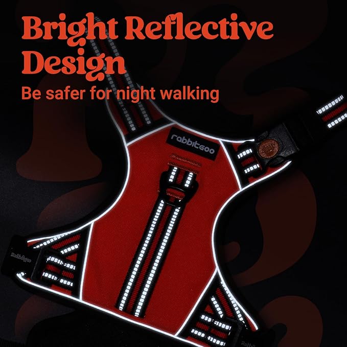 rabbitgoo Dog Harness for Large Dogs, No Pull Pet Harness with Soft Padded Handle, Adjustable Reflective Vest with 3 Buckles, Easy Walking Harness with 2 Leash Clips, Red, L