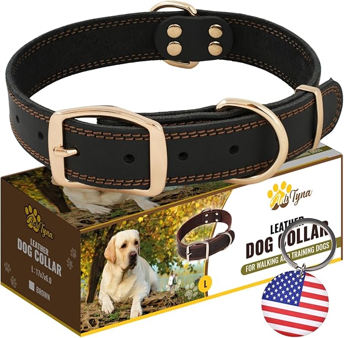 ADITYNA Heavy Duty Leather Dog Collar for Large Dogs - Soft and Strong Leather Collar for Walking and Training (Black - Gold Colored Buckle, Large: Fit 17" - 23" Neck)