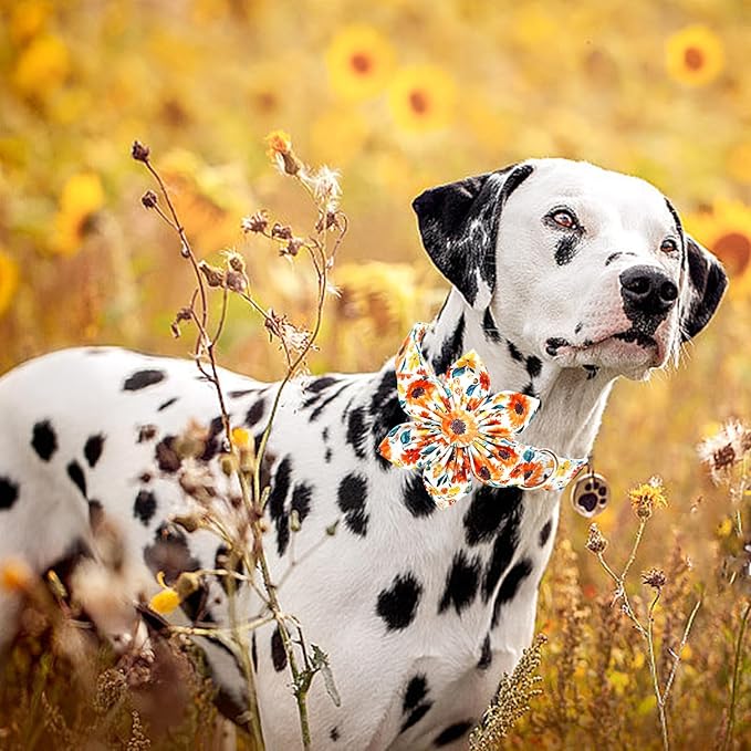 Lionheart glory Dog Collar Flowers Collar Floral Dog Collar with Flower Spring Summer Cute Collar Dog Boy or Girl Dog Collars Soft Durable Adjustable Dog Collars for Small Dogs