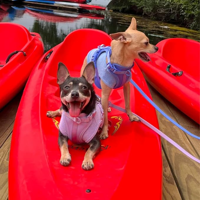 Little Beast Dog Clothes, Pet Clothes for Large, Medium and for Small Dogs (Dog Shirts Come in Multiple Colors and Styles) - Size: XX-Small Dogs, Blue