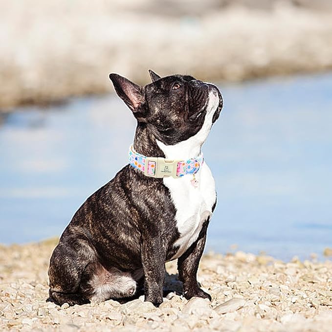 Lionheart glory Dog Collar Sea Animals Print Pink Dog Collars Male or Female Spring Summer Cute Collar Pet Gift Durable Adjustable Dog Collar for Large Dogs