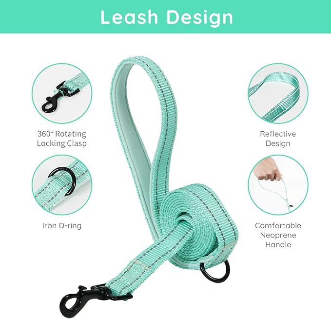 BELLA & PAL Puppy Harness & Leash Set, No Pull, Step-in Harness for Extra Small Dogs, Light Green, XS