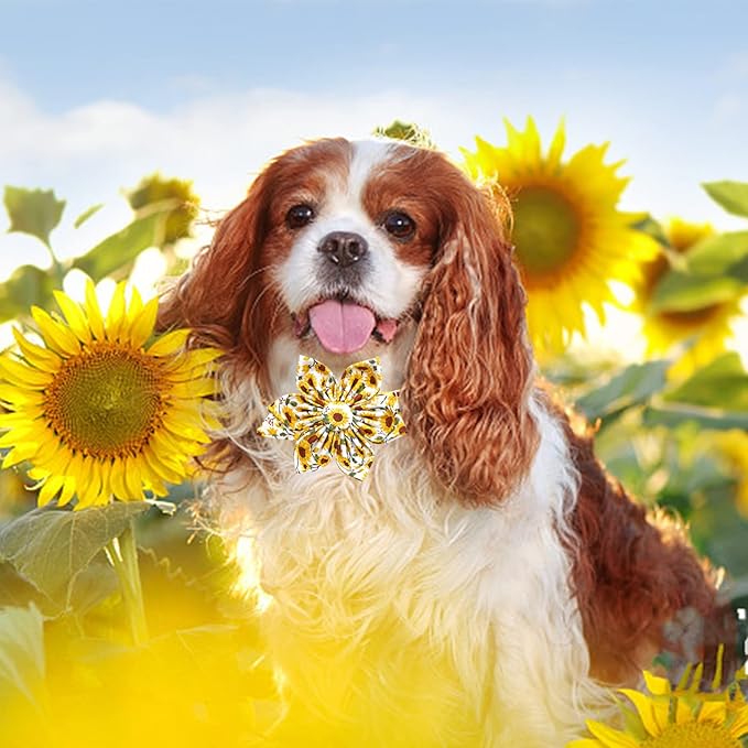 Lionheart glory Dog Collar with Flower Sunflower Print Dog Collar for Female or Male Dogs Soft Durable Adjustable Collar Flower Spring Collar Dog Bow for Large Dogs