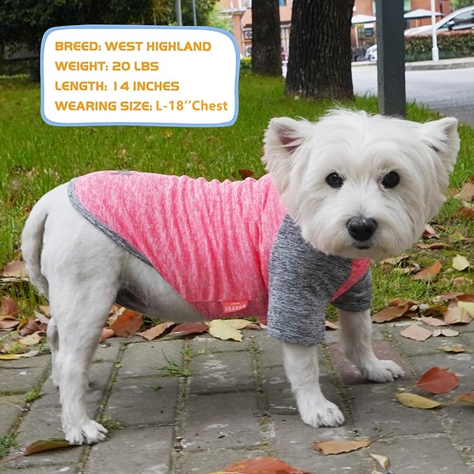 KYEESE 2 Pack Dog Shirts Quick Dry for Medium Dogs Breathable Lightweight Stretchy Dog T-Shirt with Reflective Label Raglan Sleeve Sun Protection, Coral Red+Grey, 2XL