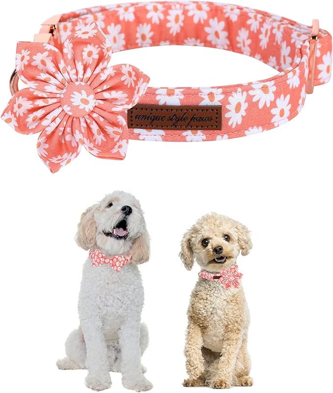 Unique style paws Dog Collar with Flower Tie Pink Daisy Summer Dog Collar for Small Medium Large Dogs with Adjustable Metal Buckle -S