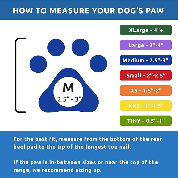 PawZ Rubber Dog Boots for Paws to 3" - All-Weather Dog Booties for Hot Pavement, Sand, Snow, Mud, and Rain - Anti Slip Dog Socks - M, Blue