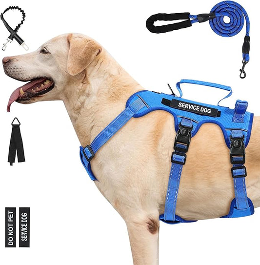 Escape Proof Dog Harness for Large Medium Sized Dogs Six Point Adjustable, Service Dog Vest Harness and Leash Set, No Pull Dogs Harnesses with Handle, XL Dog Harnesses for Walking(Blue, L)