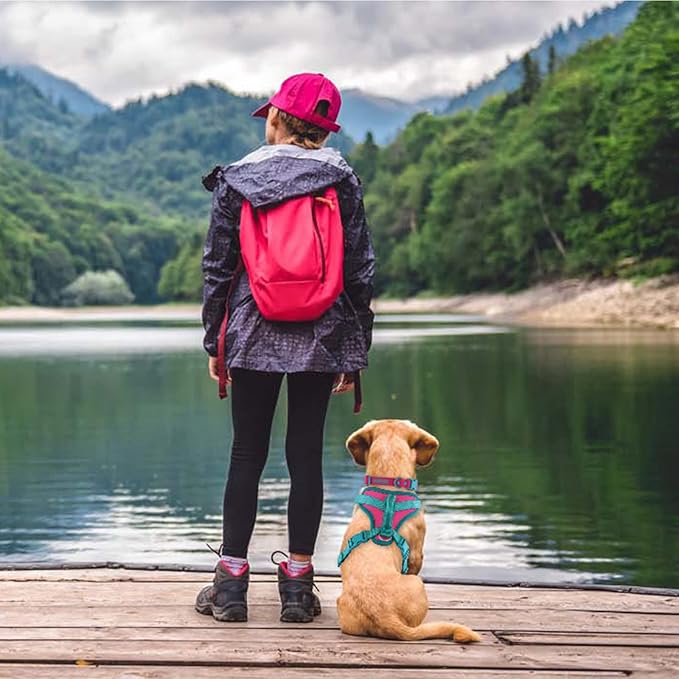 No Pull Dog Harness Adjustable Soft Padded Pet Vest with Control Handle Adorable Daily Harness for Dogs(Pink Peacock M)