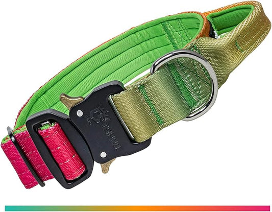 TSPRO Premium Dog Collars Tactical Dog Collar with Handle and Heavy Duty Quick-Release Metal Buckle Durable Thick and Adjustable for Medium to Large Dogs (Vitality Gradient M)