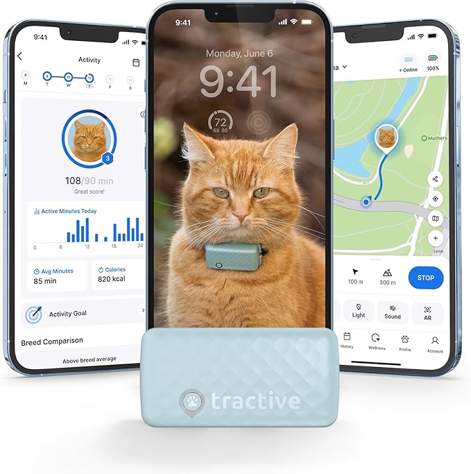 Tractive GPS Cat Tracker (6.5 lbs+), Real-time Pet Location Tracker, Health & Wellness Alerts, Battery Life Up to 7 Days, Breakaway Cat Collar Included (Mint)