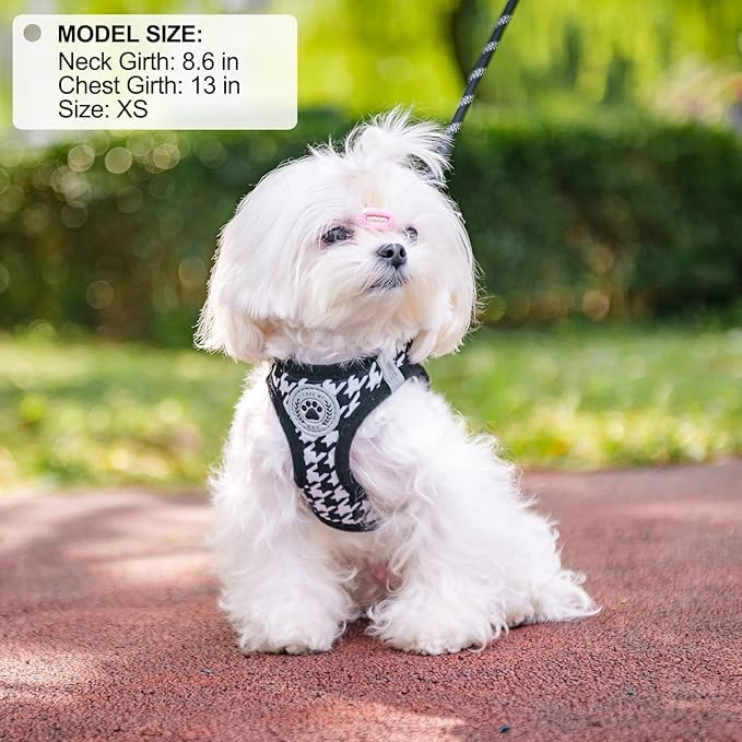 BEAUTYZOO Small Dog Harness and Leash Set,Step in No Choke No Pull Soft Mesh Dog Harnesses Reflective for Extra-Small/Small Medium Puppy Dogs and Cats, Plaid Dog Vest Harness for XS S Pets, Black XXS