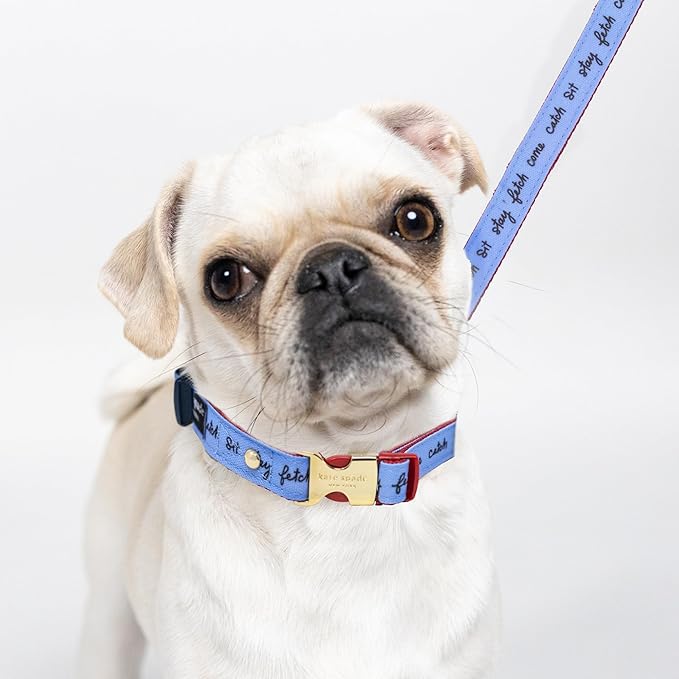kate spade new york Cute Dog Collar with Gold Metal Details & Plastic Buckle, 10.5"-13.5" Adjustable Dog Collar for Female or Male Dogs, Small to Medium Dogs, Raining Cats & Dogs