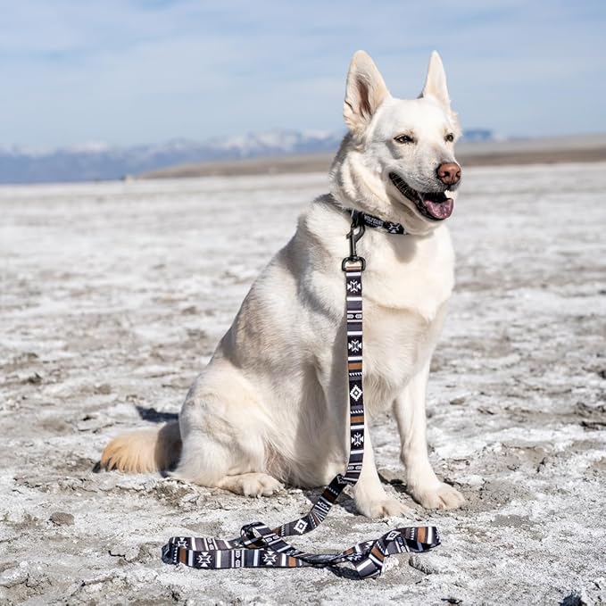 Wolfgang Heavy Duty, Adjustable Dog Collar with Quick Release Nylon Buckle for Walking & Training, NewMoon Print, Small