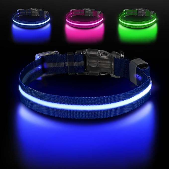 Led Dog Collar for Night Walking,Rechargeable Light Up Dog Collar Led Color,Glow in The Dark Dog Collars Waterproof for Small Medium Large Dogs(Blue, Medium)