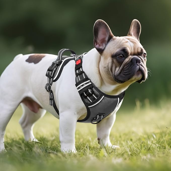 Timos Dog Harness Small Sized, No Pull with Neck Lockable Snap,No Choke Front Clip Dog Reflective Harness,Adjustable Metal Rings 3 Buckles,Easy Control Handle for Small Dogs Gray XS