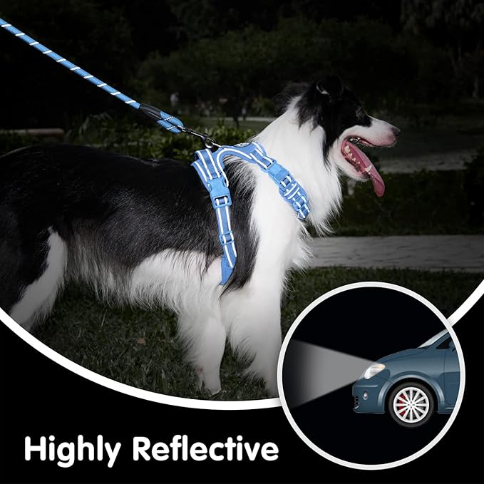 PoyPet No Pull Dog Harness and 5 Feet Leash Set, Release on Neck Reflective Adjustable Pet Vest, Front & Back 2 D-Ring and Soft Padded Pet Harness with Handle for Small to Large Dogs(Light Blue,S)