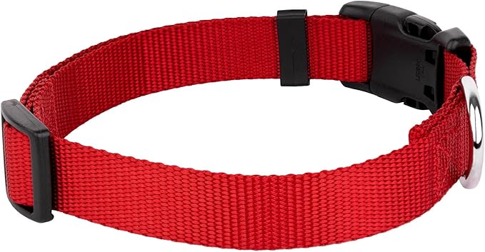 Country Brook Petz - American-Made Dog Collar for Large, Medium, and Small Dogs and Puppies - Deluxe Heavy Duty Nylon in 33 Dazzling Colors (Medium, 3/4 Inch Wide, Red)