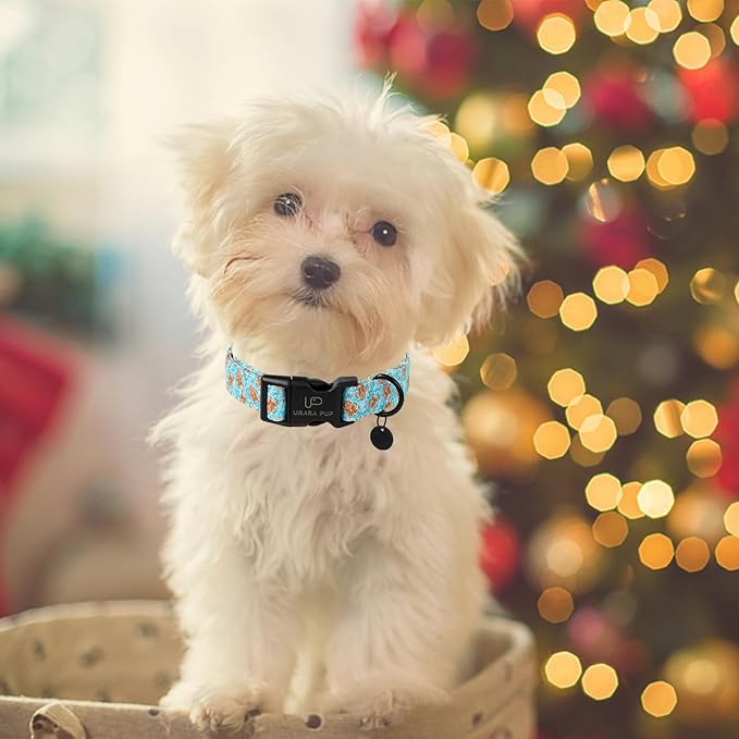 Christmas Dog Collar,Adjustable Gingerbread Pet Collar,Chriatmas Puppy Collar for Small Medium Large Dogs,L