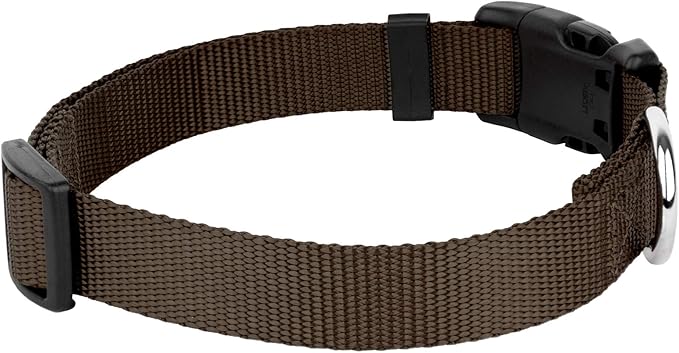 Country Brook Petz - American-Made Dog Collar for Large, Medium, and Small Dogs and Puppies - Deluxe Heavy Duty Nylon in 33 Dazzling Colors (Extra Small, 3/8 Inch Wide, Brown)