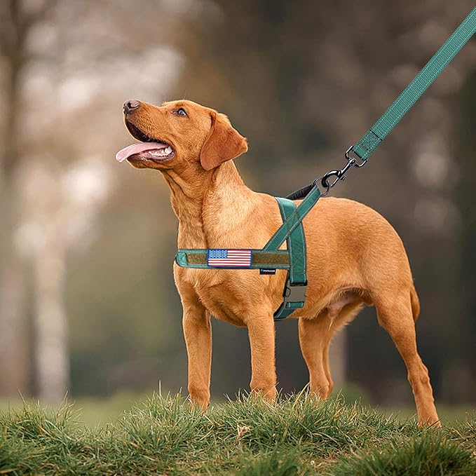 Annchwool No Pull Dog Harness with Soft Padded Handle,Reflective Strip Escape Proof and Quick Fit to Adjust Harness,Easy for Training Walking for Small & Medium and Large Dogs(Green,L)