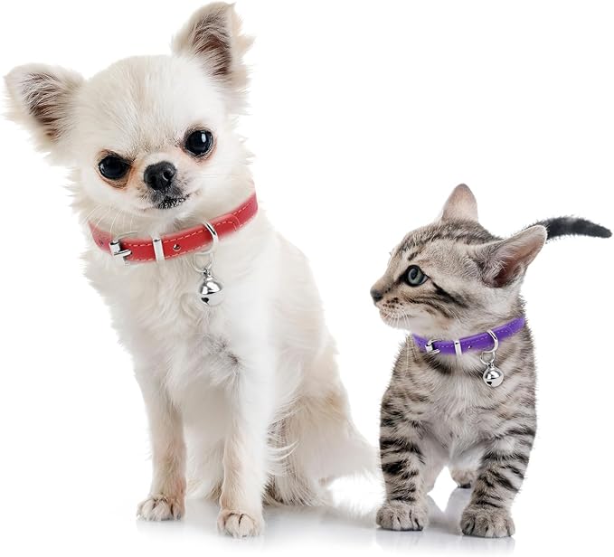 XXS Teacup Dog Collar - Red, 3/8 inch Width for Small Dogs & Cats