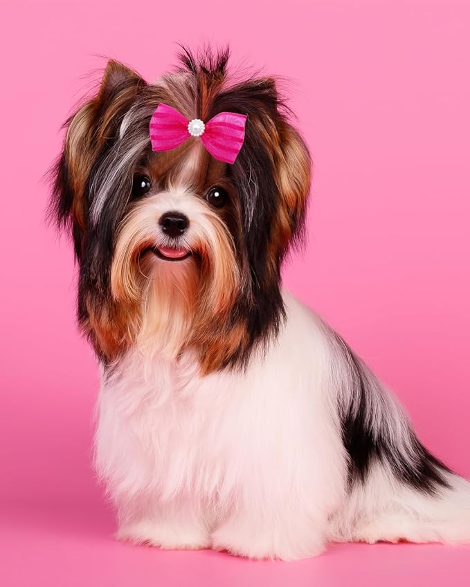 PET SHOW 20 Pack Pink Small Dog Hair Bows with Rubber Bands for Medium Dogs Girl Female Holiday Puppies Cats Kittens Rabbits Topknot Grooming Costumes Hair Accessories