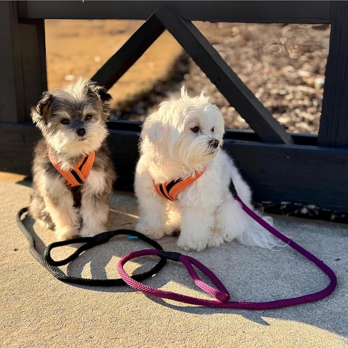 Gooby Mesh Leash - Red, 4 FT - Breathable Mesh 4 Foot Leash for Small Dogs with Bolt Snap Clasp - On The Go Dog Leashes for Small, Medium, and Large Dogs