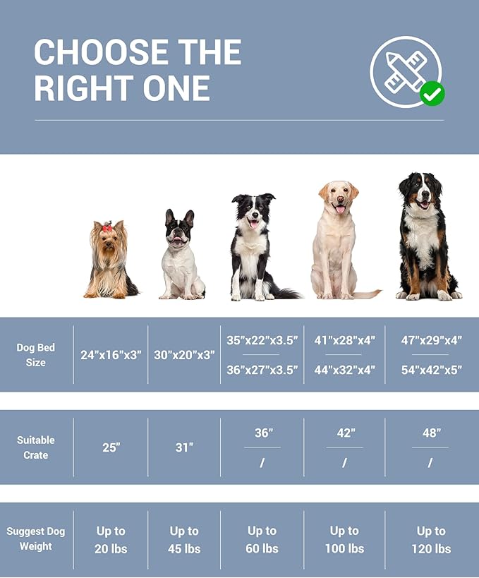OhGeni Orthopedic Waterproof & Machine Washable Dog Bed for Medium Large Pets, Suitable for Crates, 25D Egg Crate Foam, Non-Slip Bottom & Removable Cover, Invisible Zipper, 35 Inches(Spa Blue)