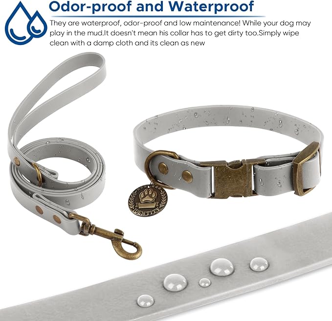 Wisedog Dog Collar and Leash Set Combo: Adjustable Pet Collars with Dog Leashes for Small Medium Large Dogs, Includes 1 Bonus of Poop Bag Holder (S(Collar:10"-14";Leash:4 ft), Grey)