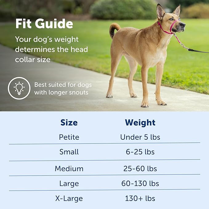 PetSafe Gentle Leader No-Pull Head Collar for Dogs, Dog Head Collar - The Ultimate Solution to Pulling, Padded Nose Loop, Quick-Snap Neck Strap, Dog Halter, Medium - Black